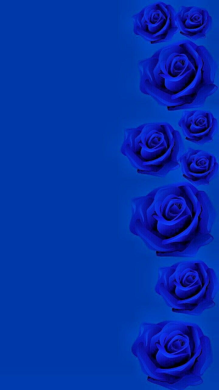 Dark Blue Flower Aesthetic Wallpapers