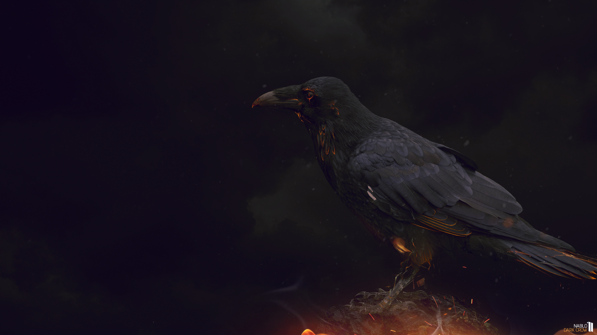 Dark Crow Wallpapers