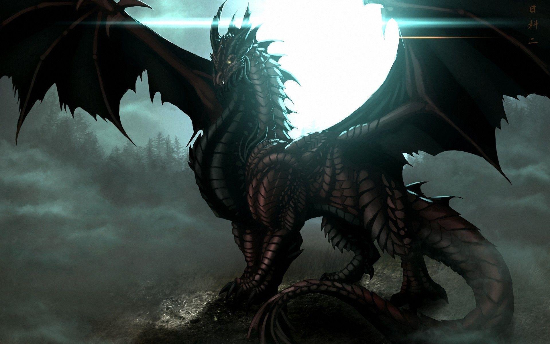 Dark Dragon Wallpapers