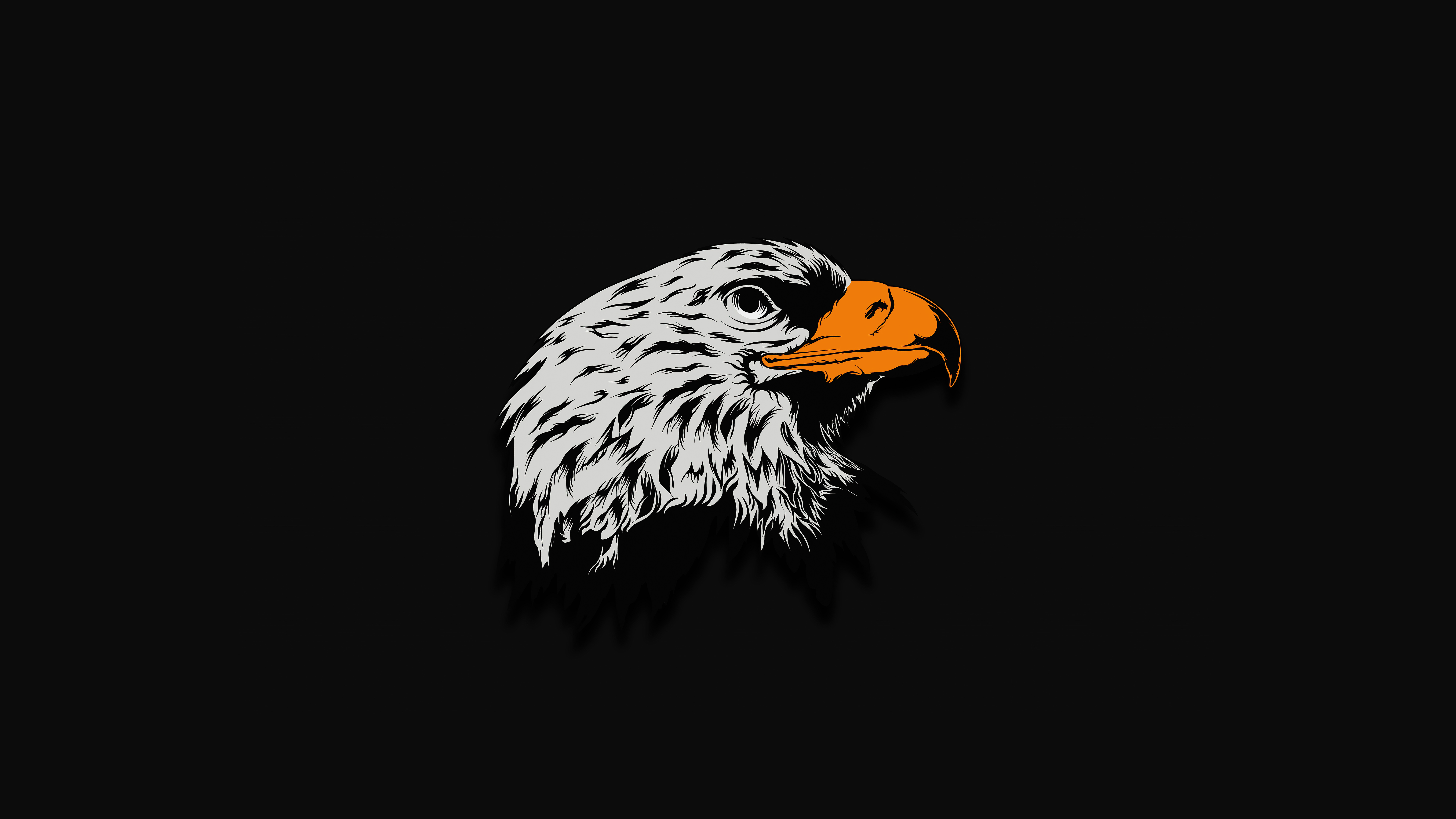 Dark Eagle Wallpapers