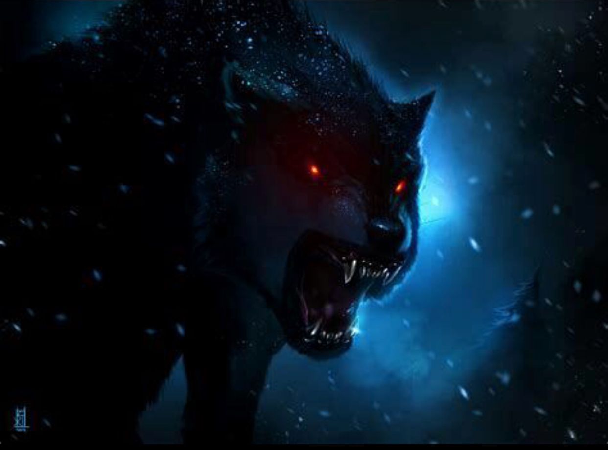 Dark Evil Wolf Wallpapers