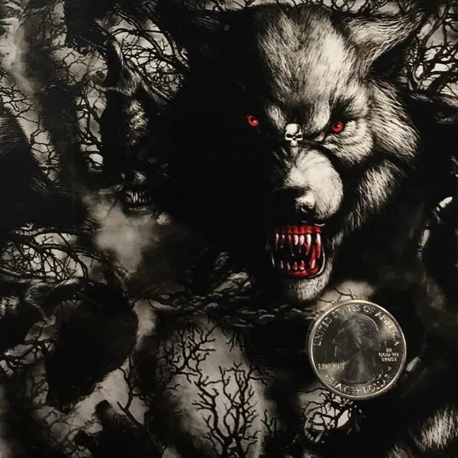 Dark Evil Wolf Wallpapers