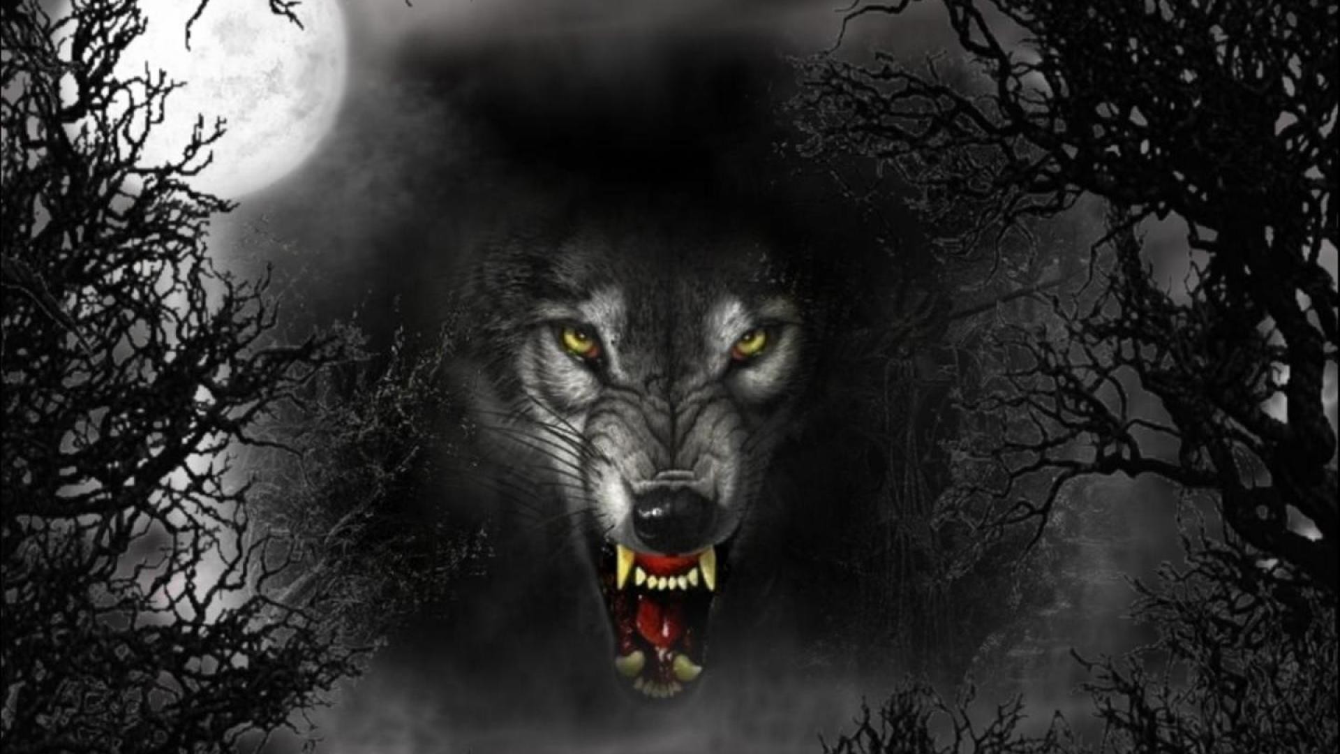 Dark Evil Wolf Wallpapers