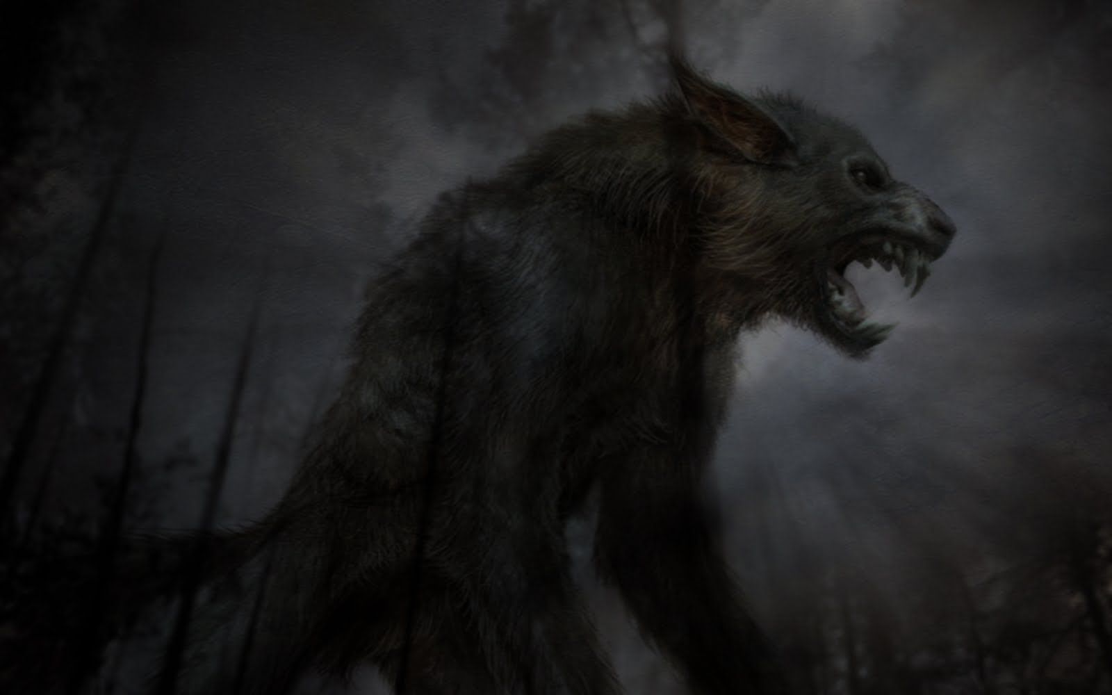 Dark Evil Wolf Wallpapers