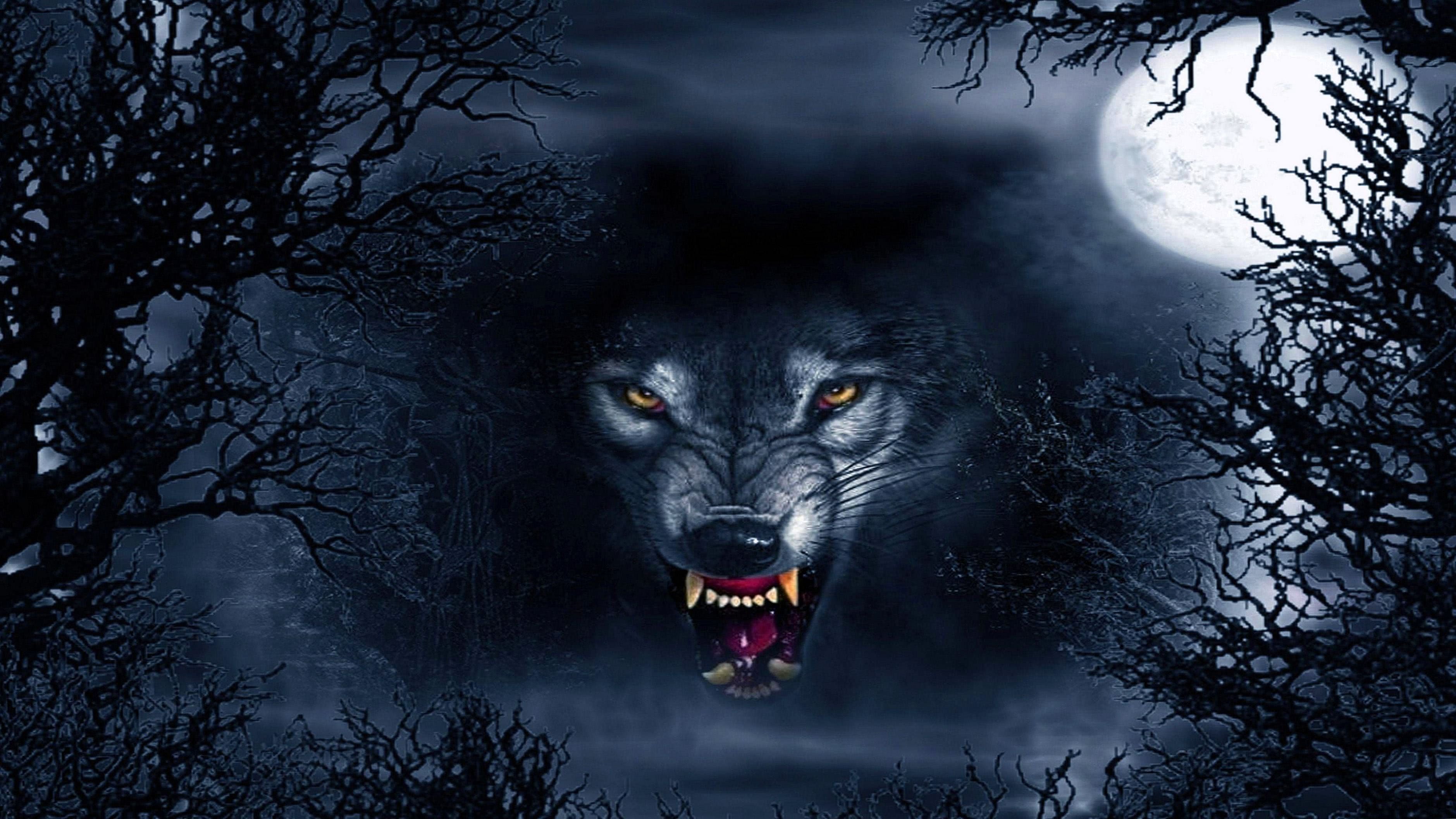 Dark Evil Wolf Wallpapers