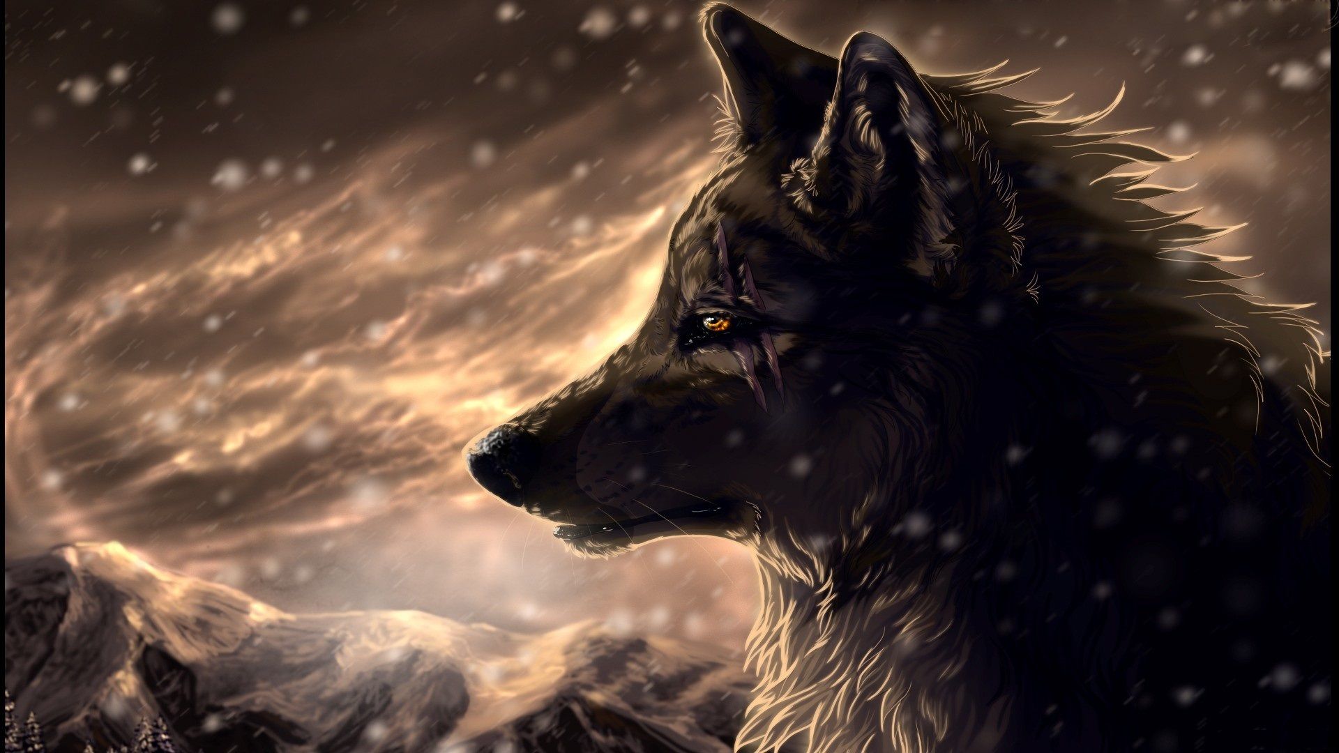 Dark Evil Wolf Wallpapers