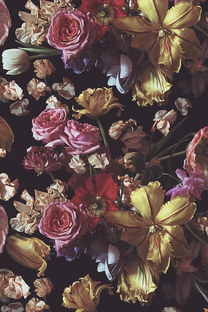 Dark Floral Iphone Wallpapers