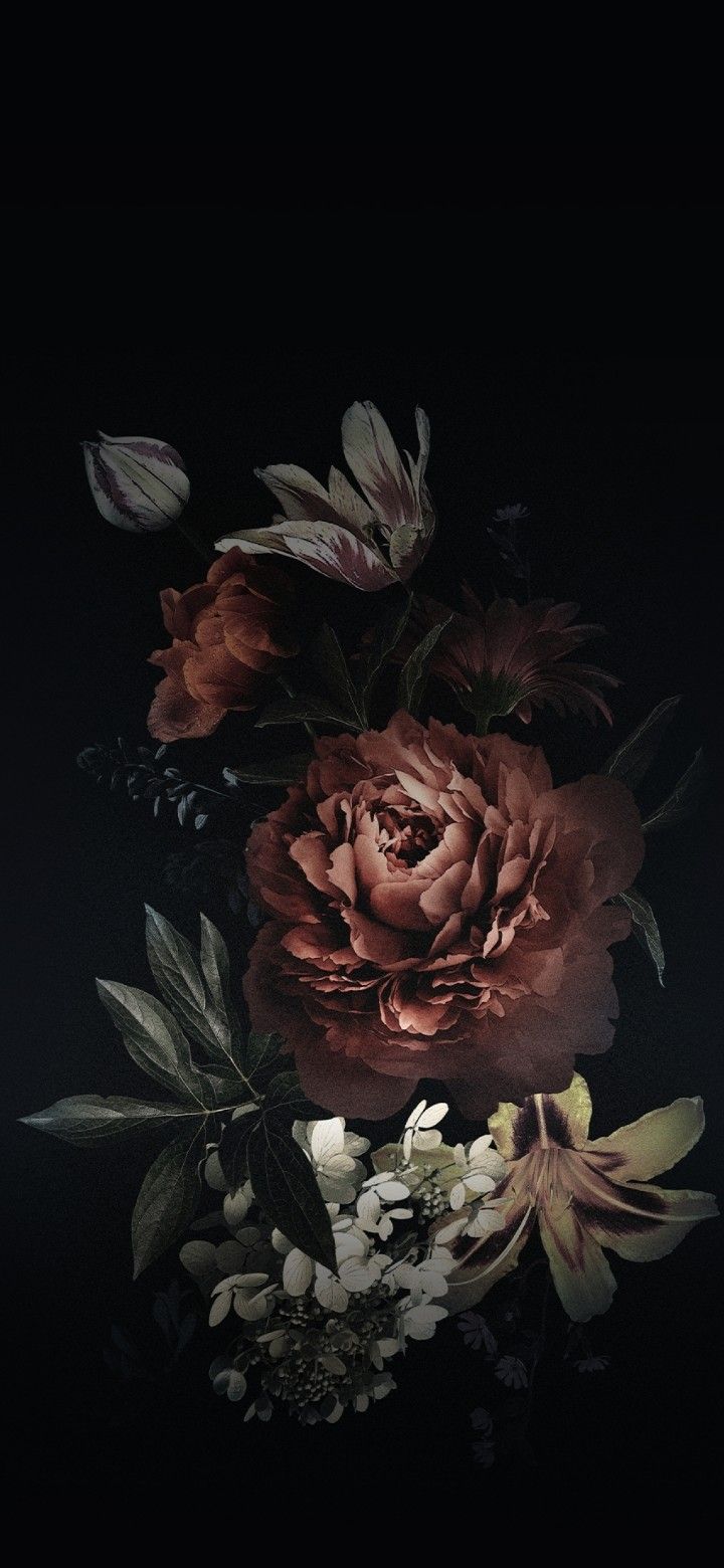 Dark Floral Iphone Wallpapers