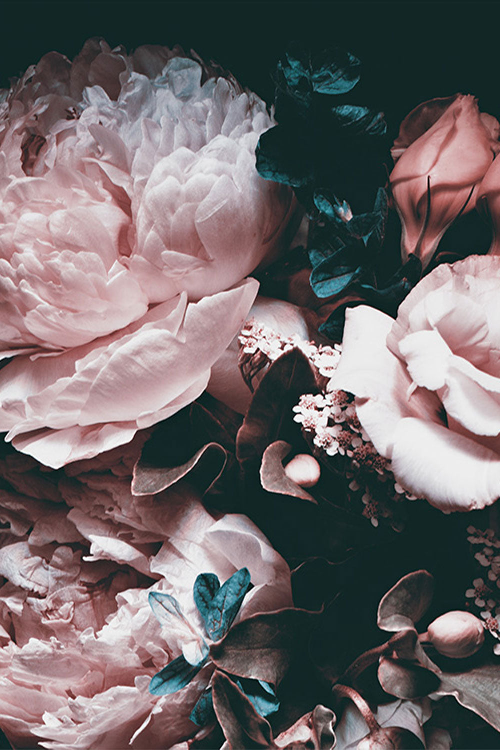 Dark Floral Iphone Wallpapers