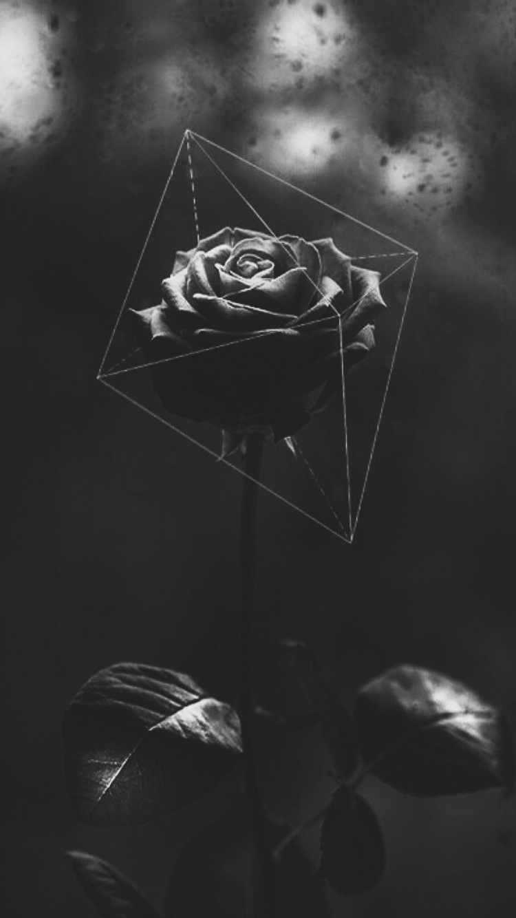 Dark Flower Aesthetic Wallpapers