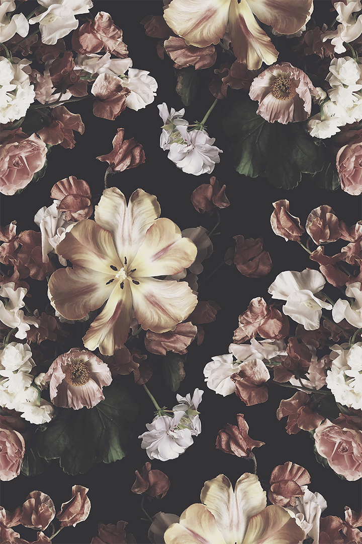 Dark Flower Aesthetic Wallpapers