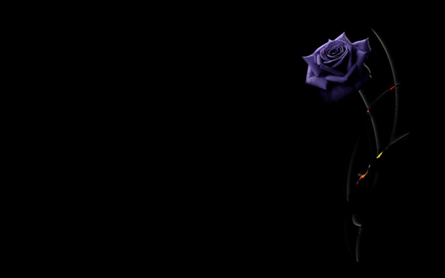 Dark Flower Aesthetic Wallpapers