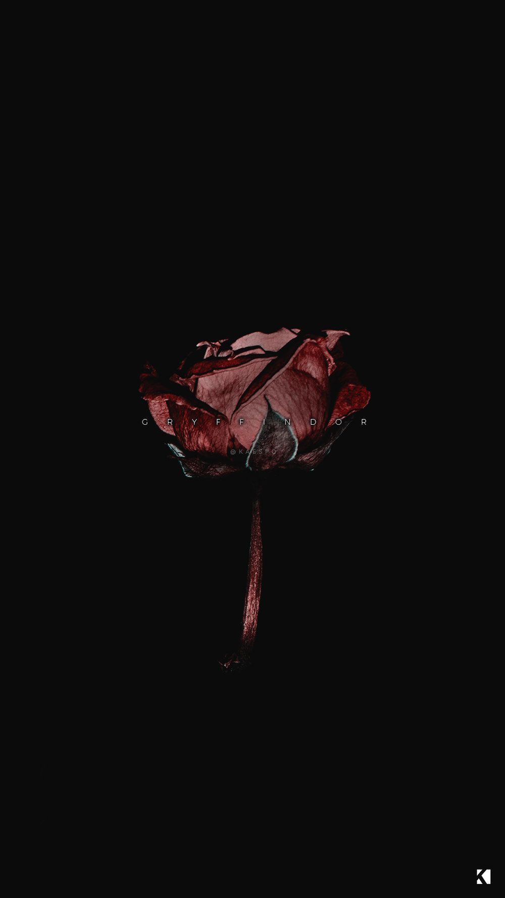 Dark Flowers Desktop Wallpapers