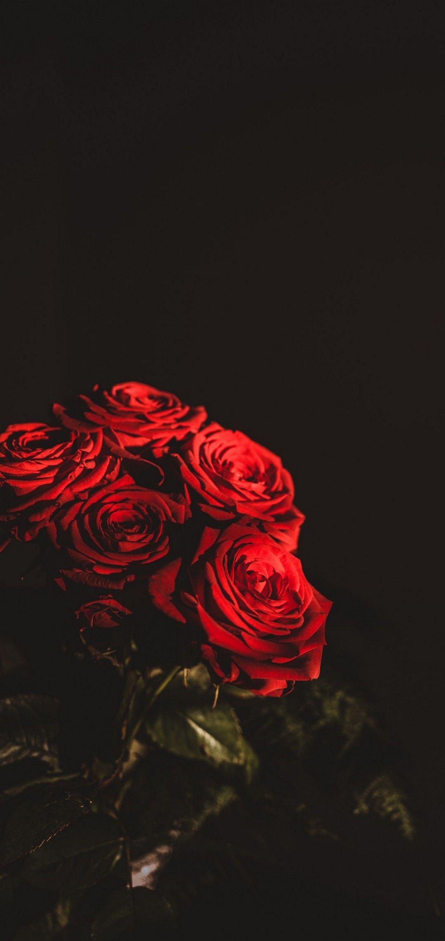 Dark Flowers Desktop Wallpapers