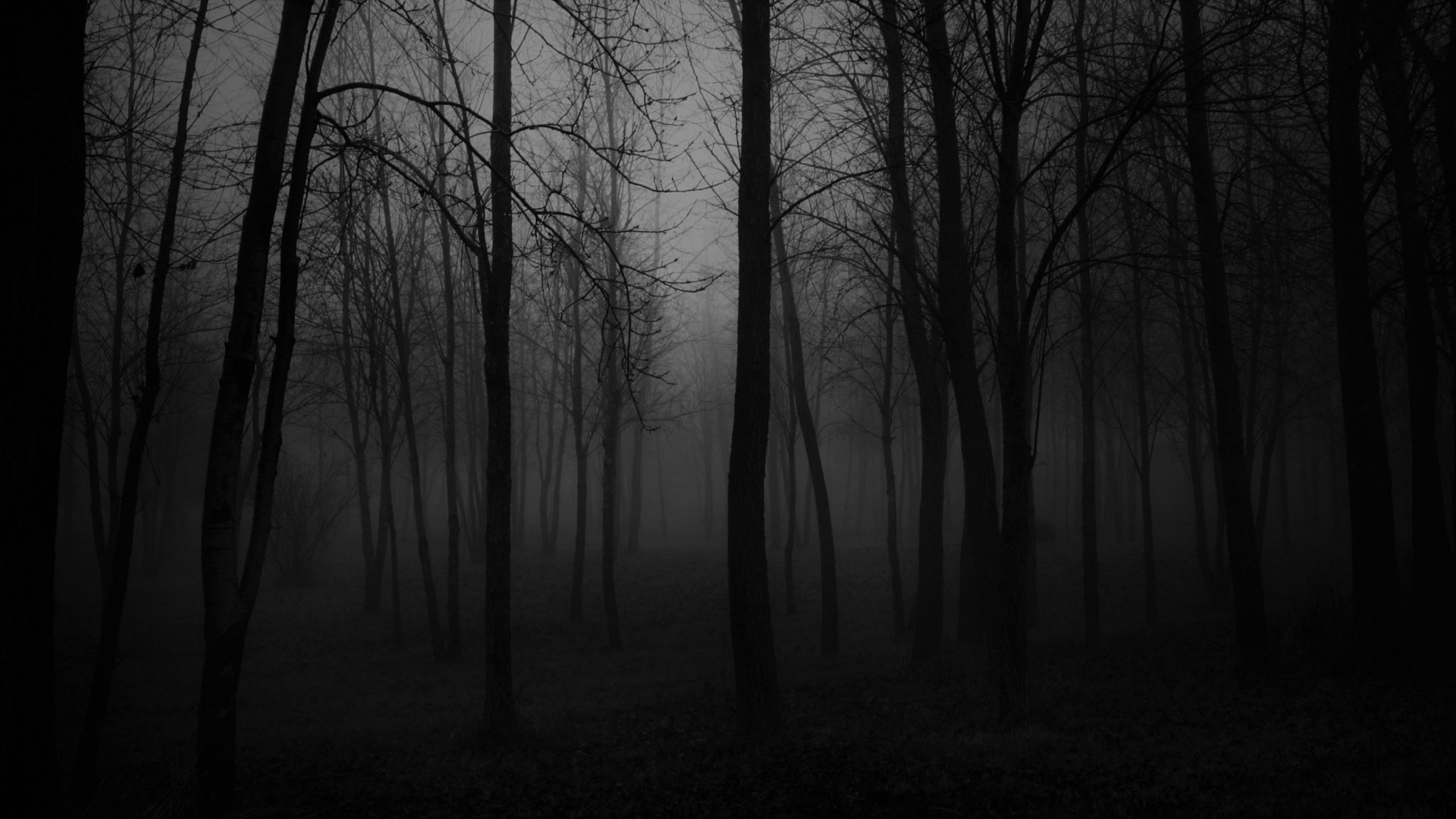 Dark Fog Wallpapers