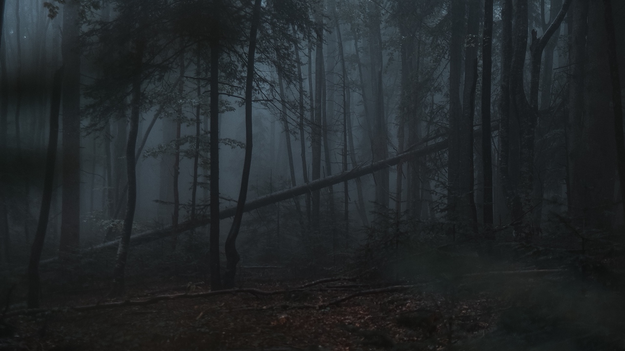 Dark Fog Wallpapers