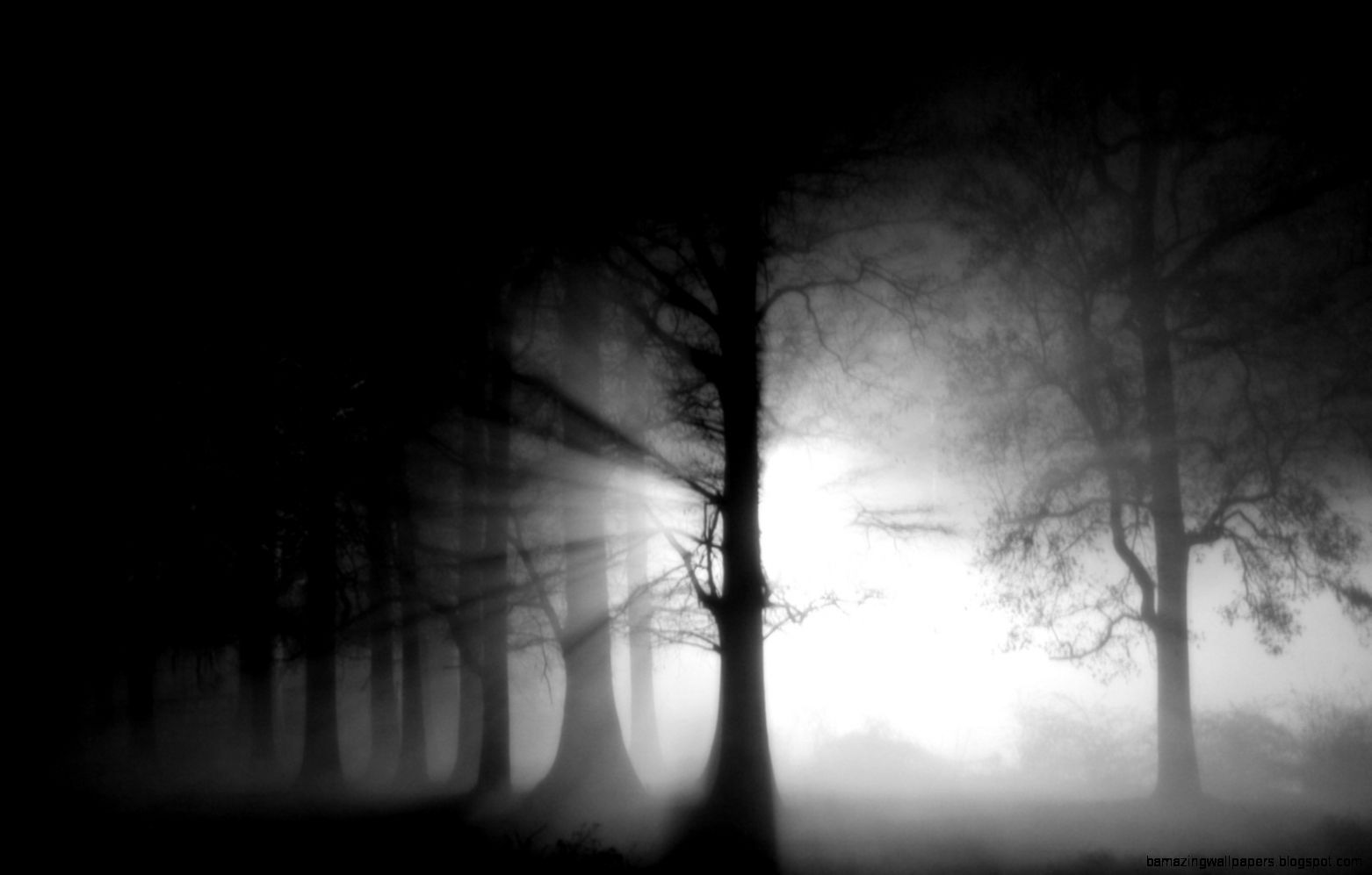 Dark Fog Wallpapers