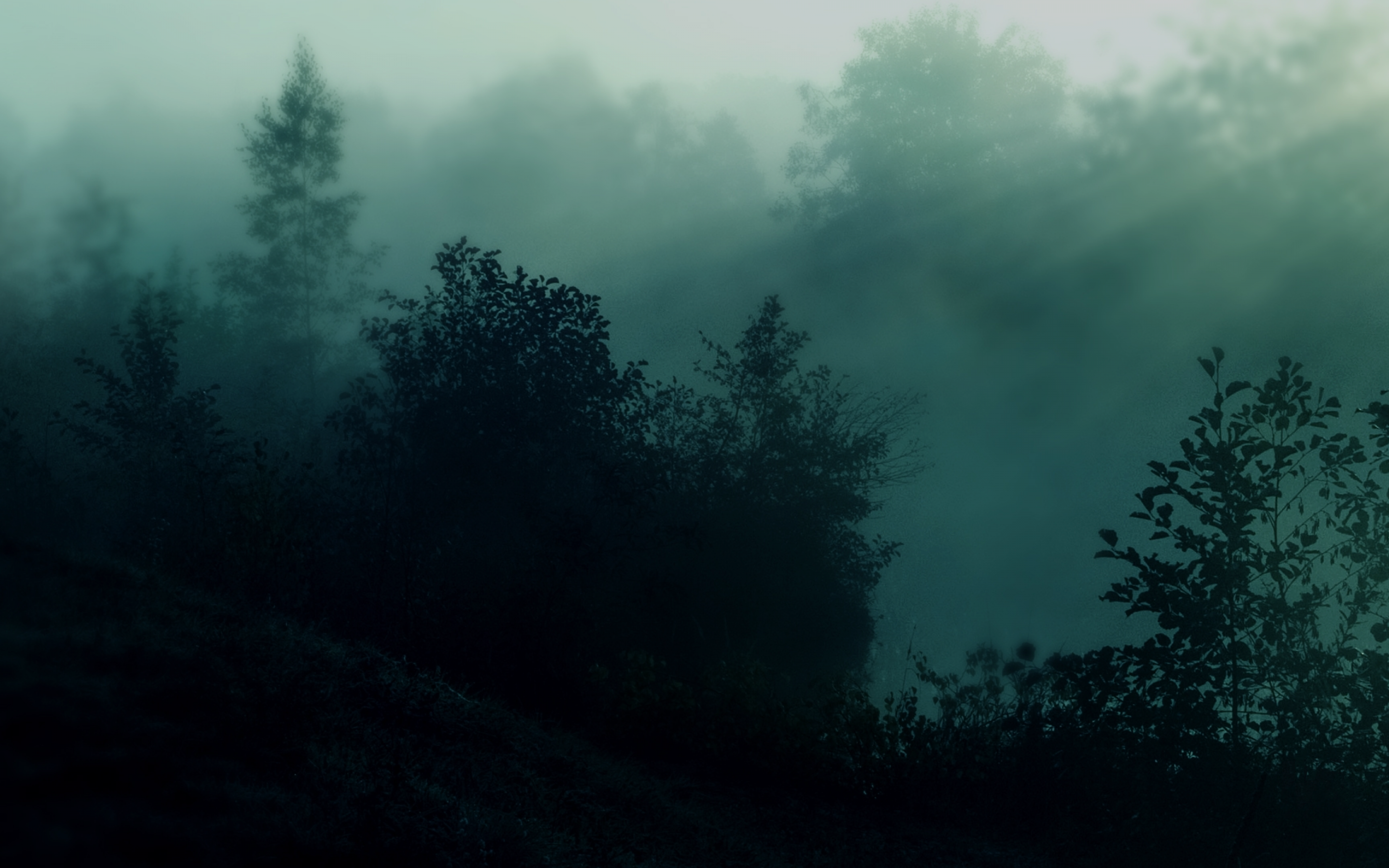 Dark Forest Aesthetic Wallpapers
