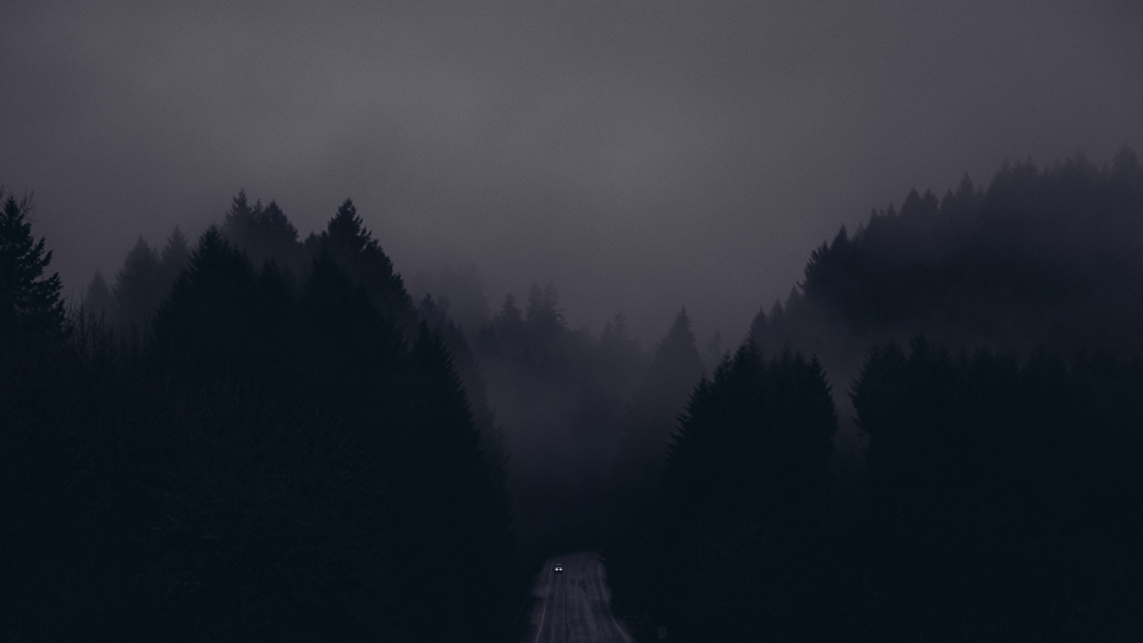Dark Forest Aesthetic Wallpapers