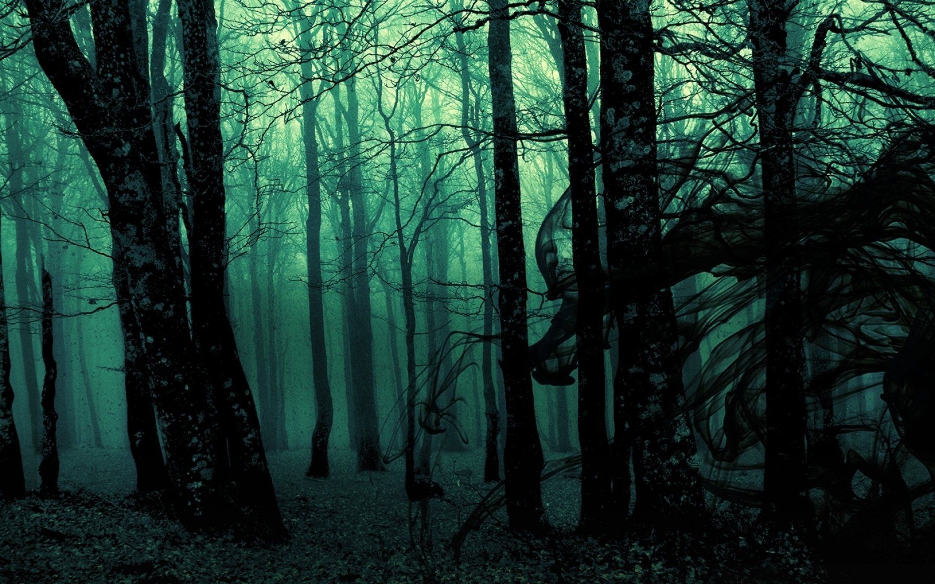 Dark Forest Background Tumblr