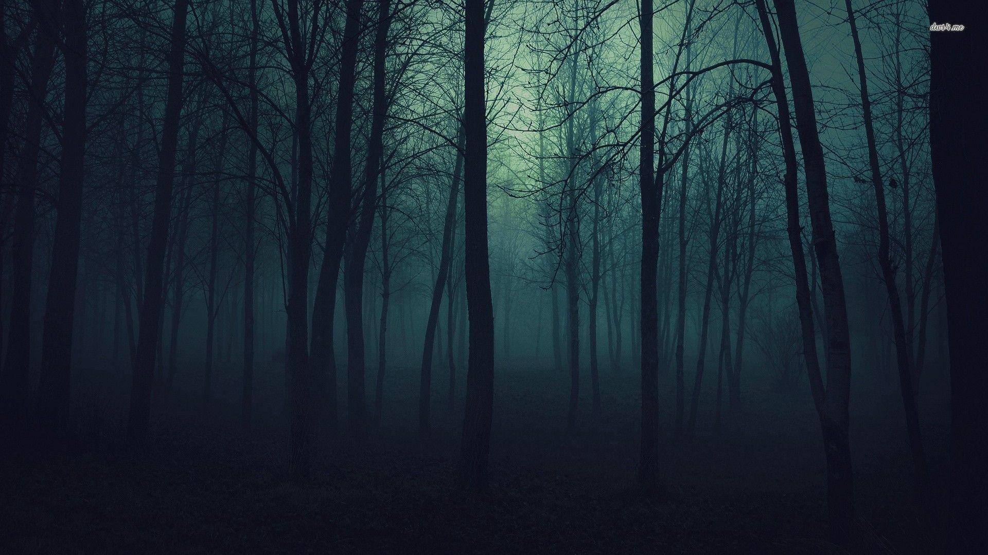 Dark Forest Background Tumblr