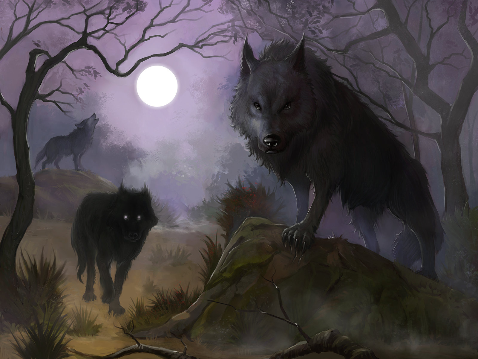 Dark Forest Background With Wolf