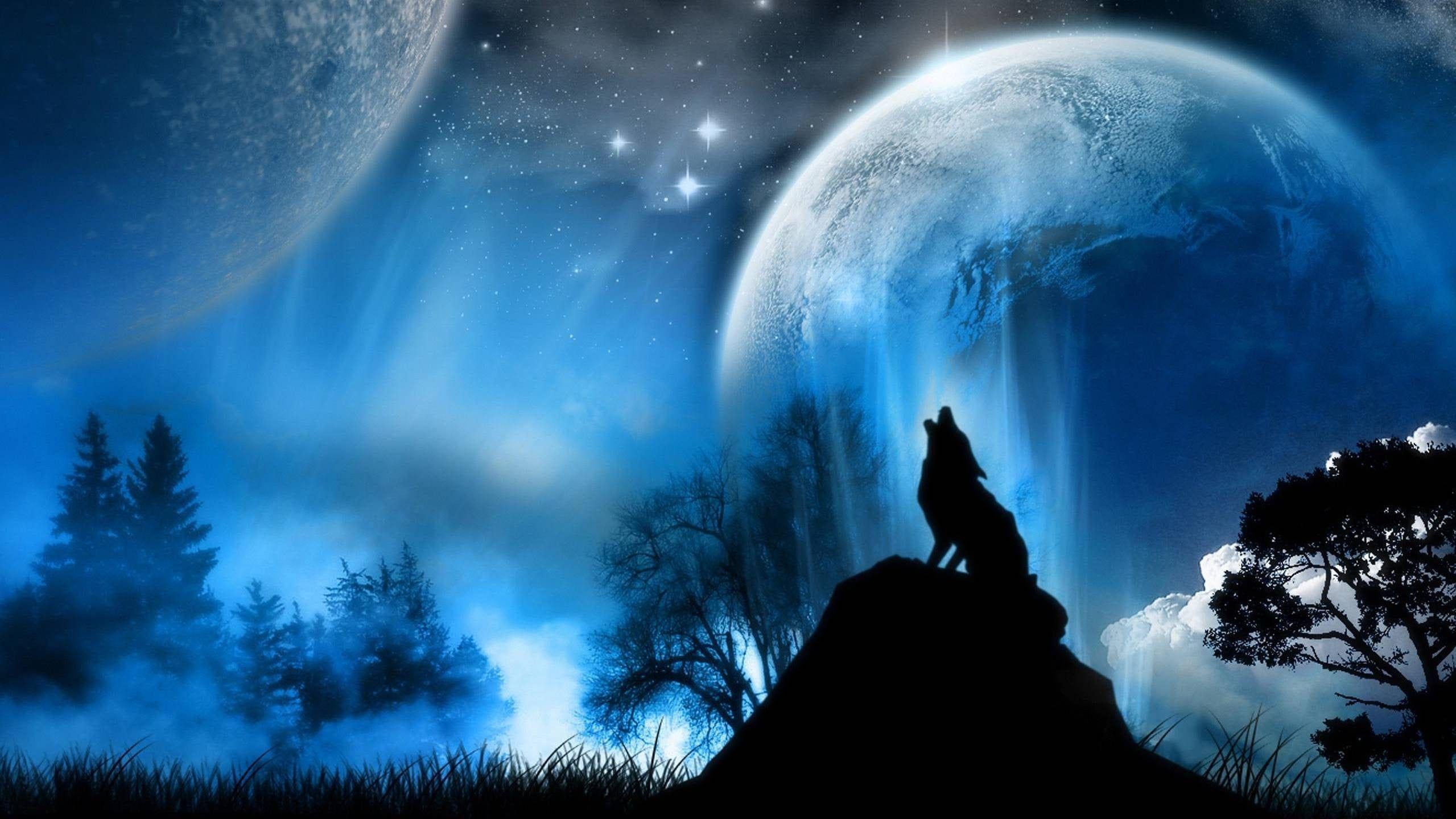 Dark Forest Background With Wolf