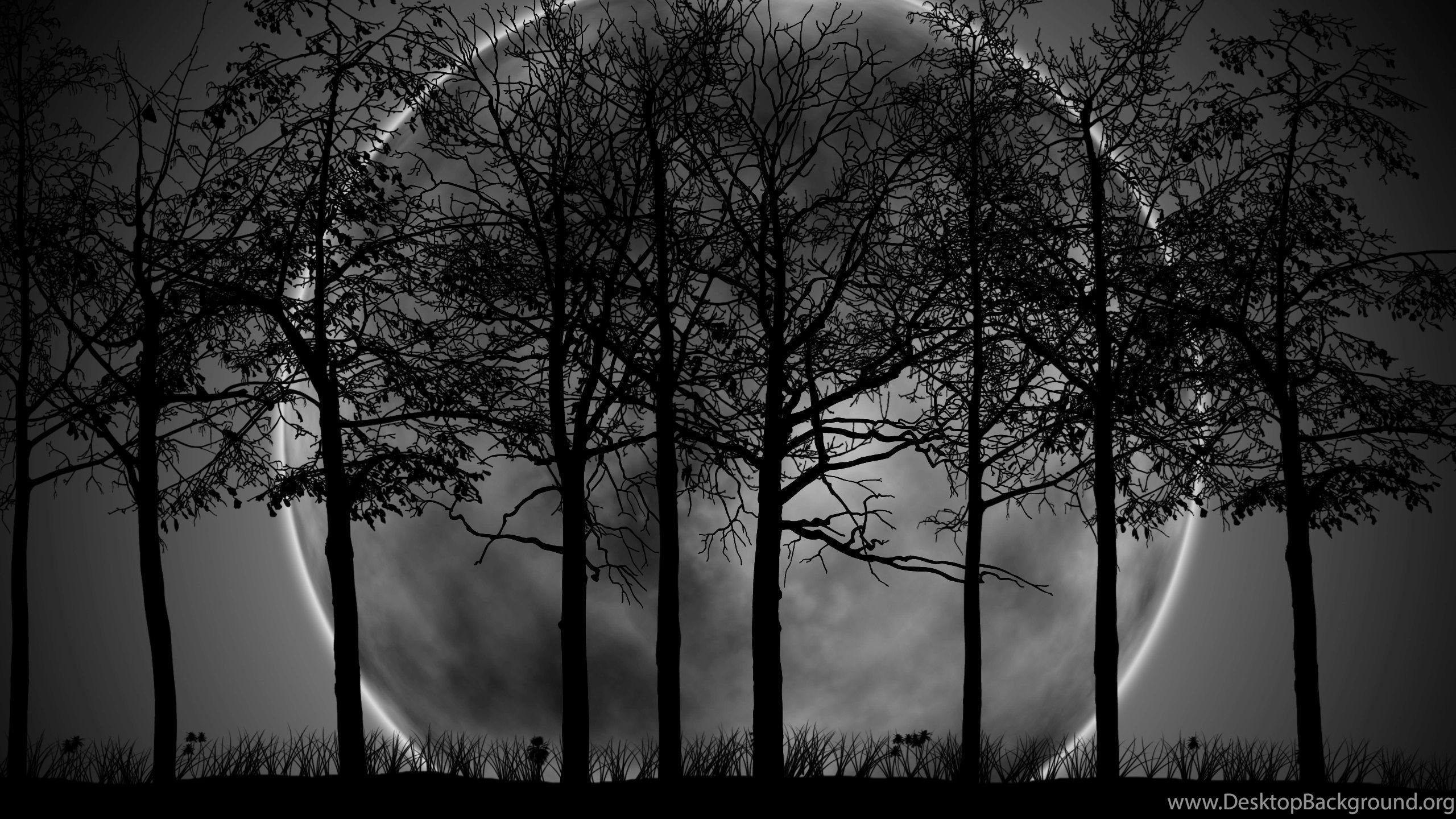 Dark Forest Moon Wallpapers