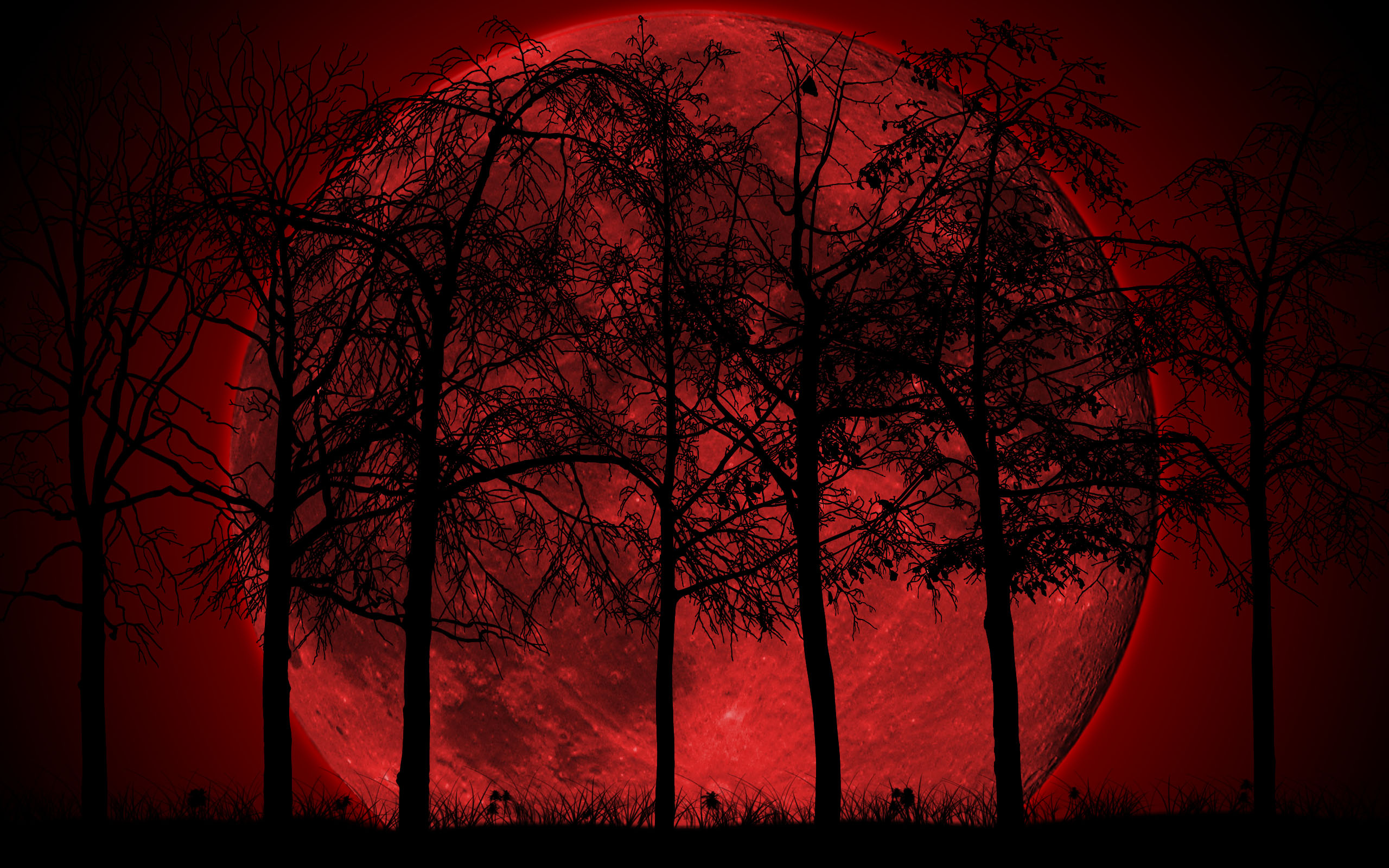 Dark Forest Moon Wallpapers