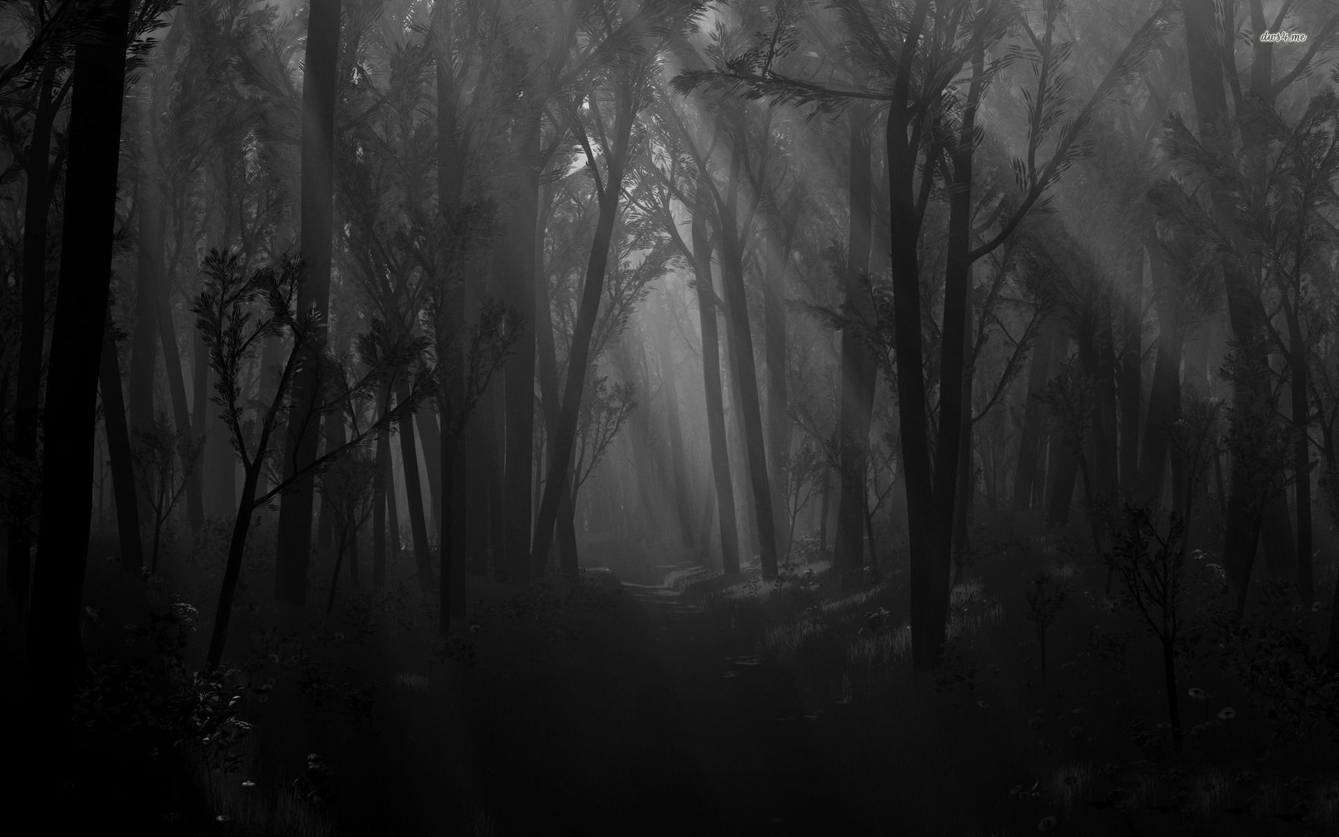 Dark Forest Moon Wallpapers