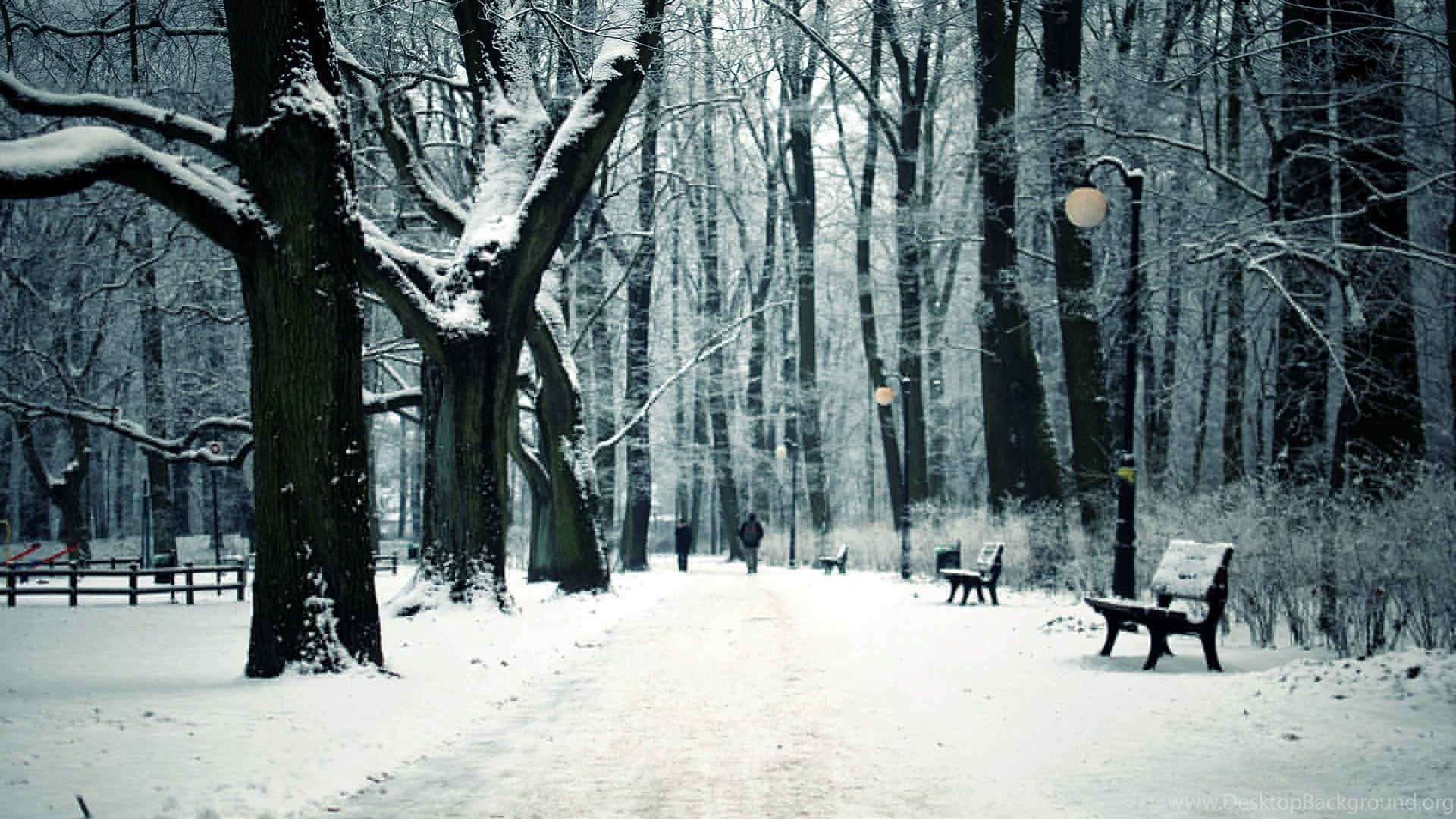 Dark Forest Woods Snow Winter Wallpapers