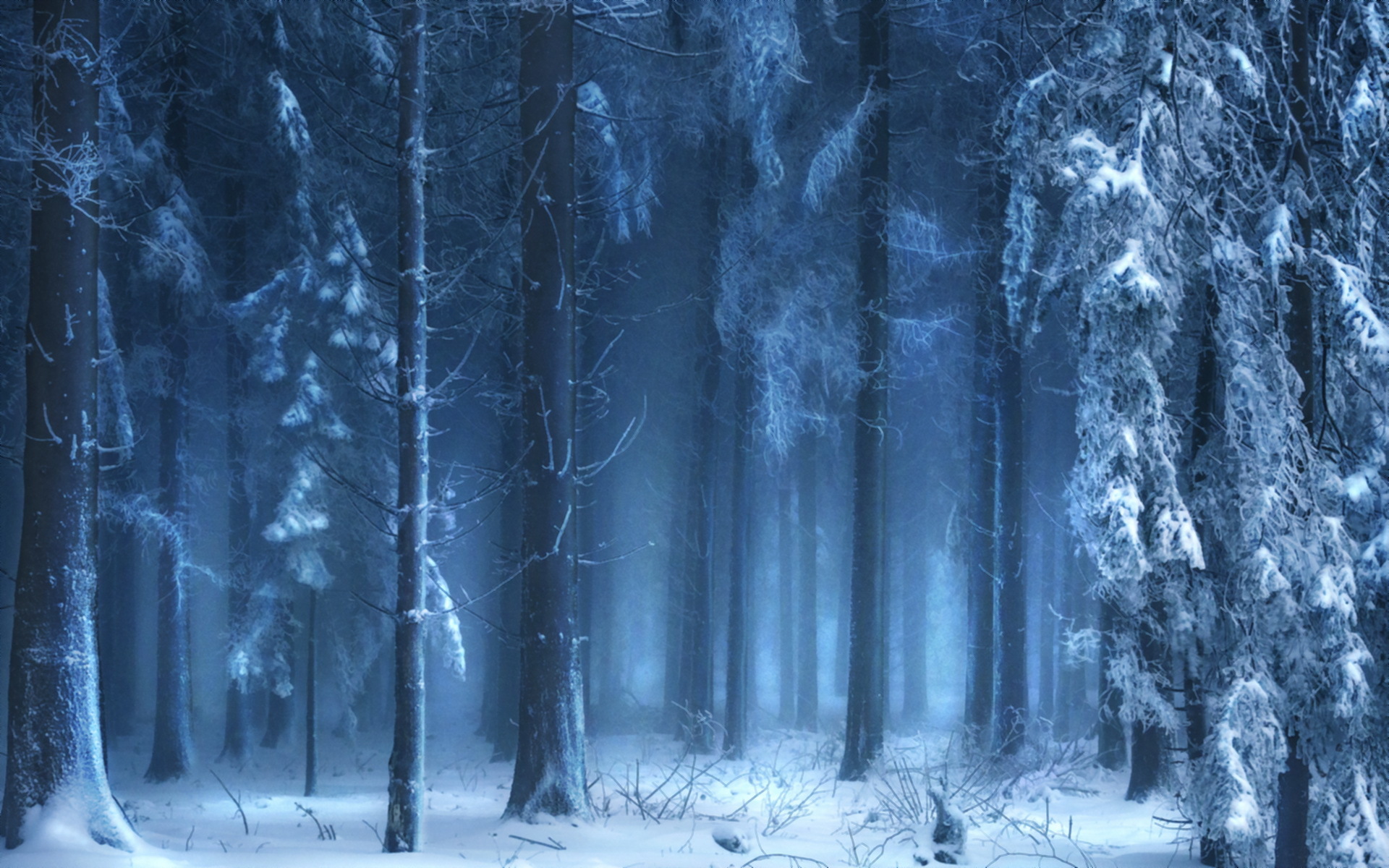 Dark Forest Woods Snow Winter Wallpapers