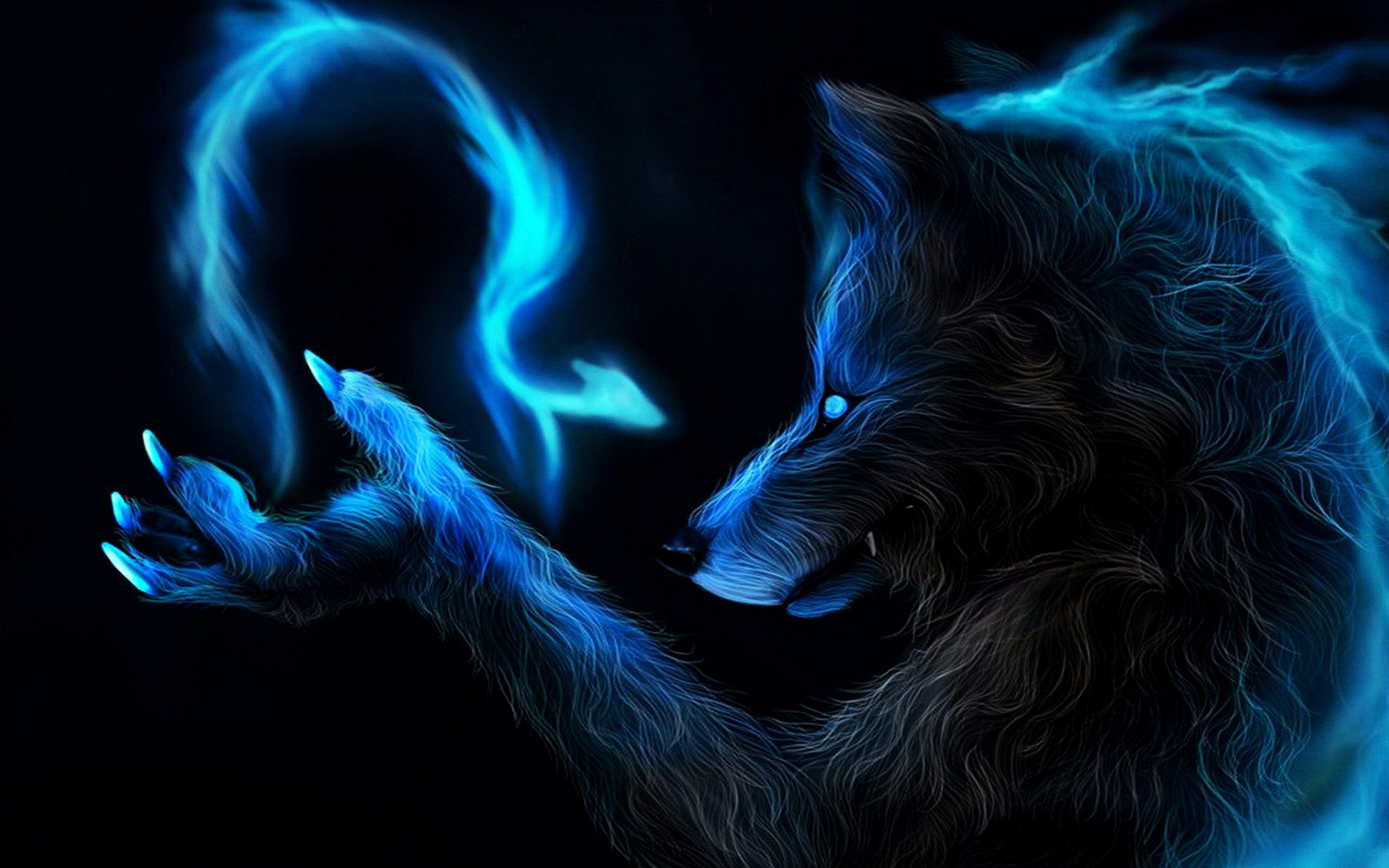 Dark Fox Wallpapers