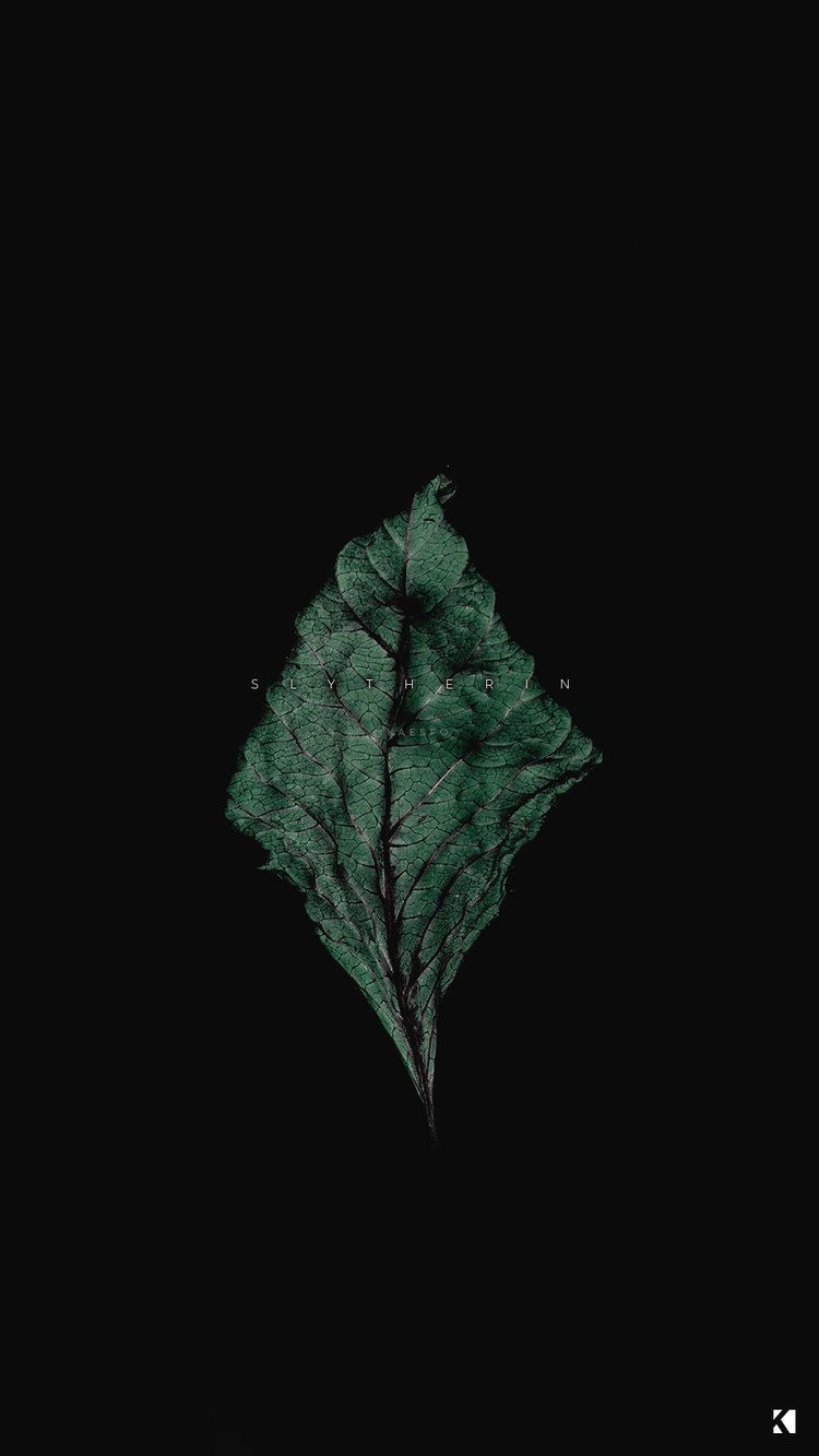 Dark Green Aesthetic Wallpapers