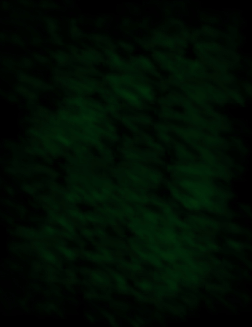 Dark Green Background