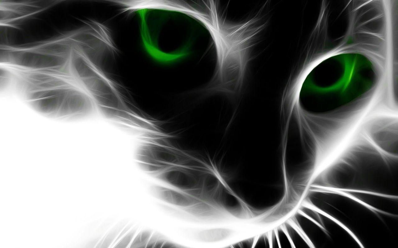 Dark Green Eyes Wallpapers