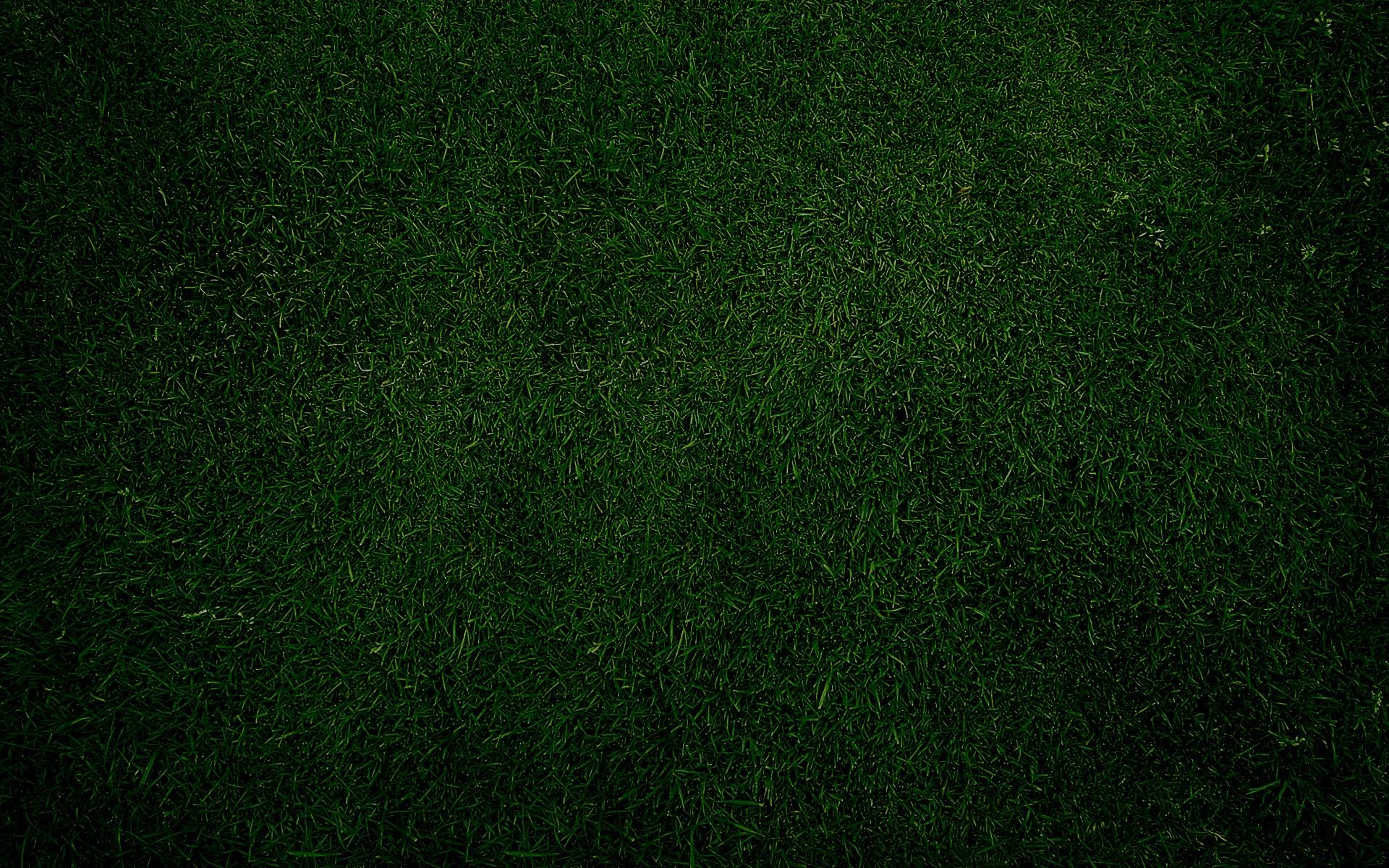 Dark Green Plain Wallpapers