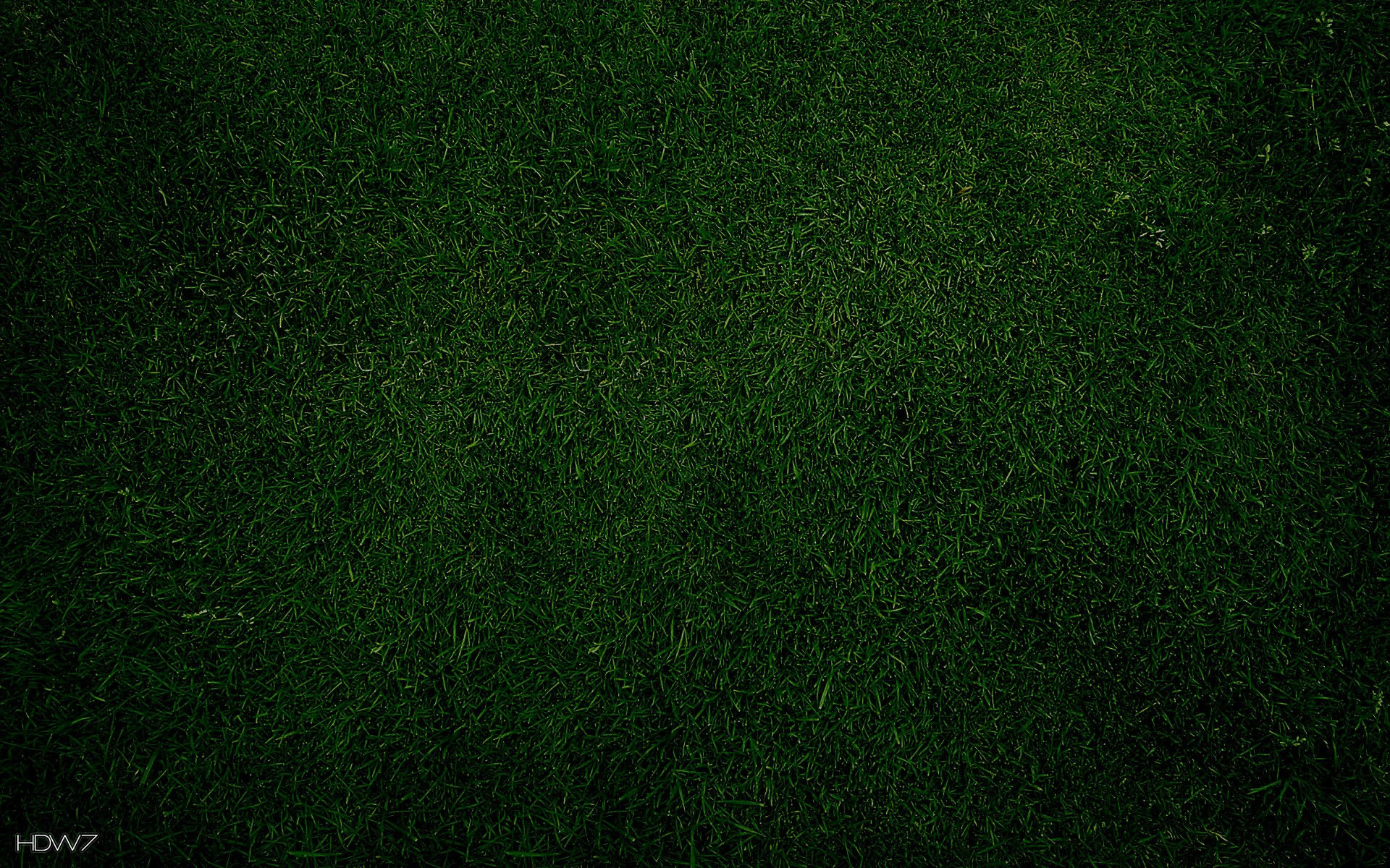 Dark Green Plain Wallpapers