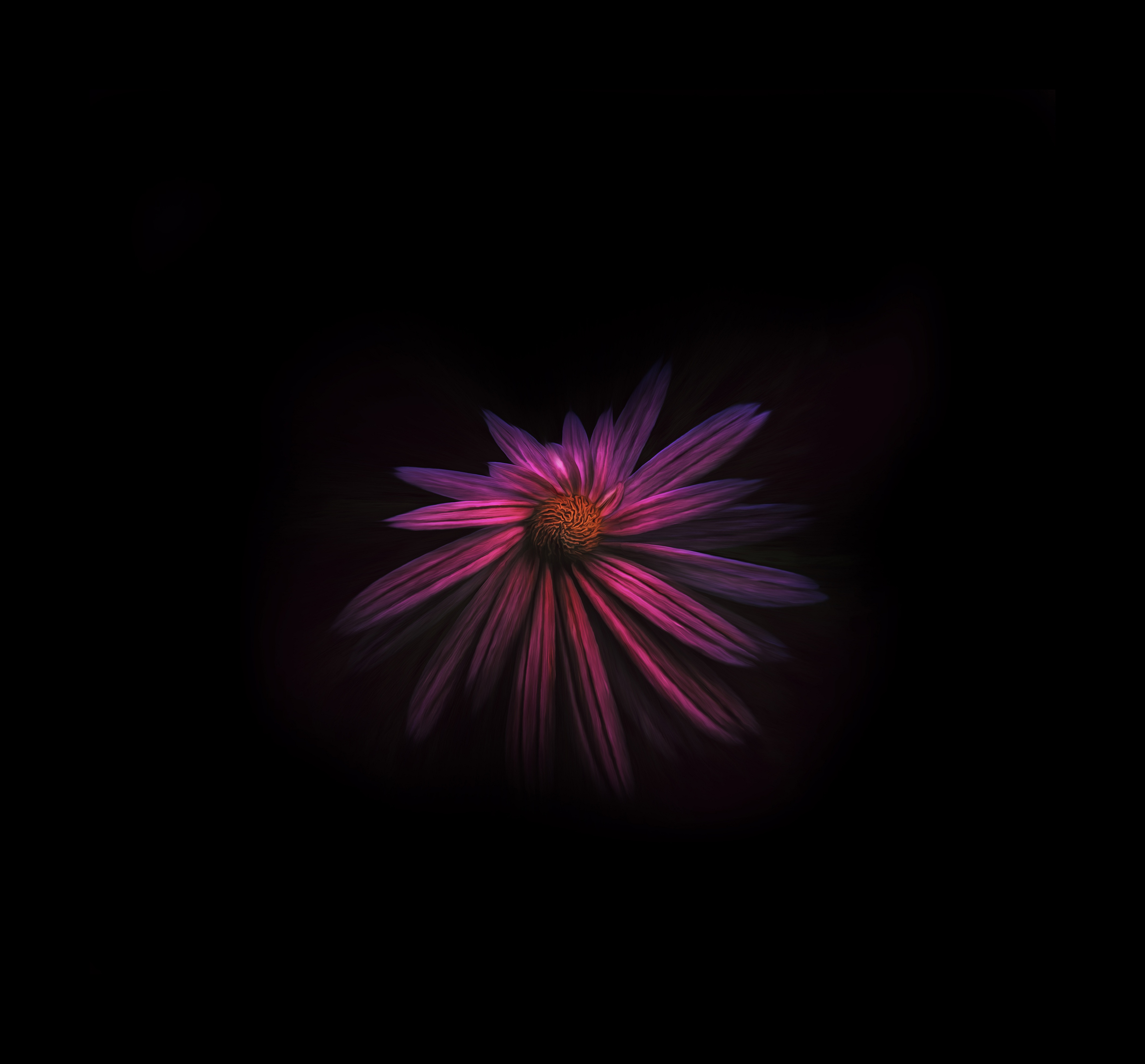 Dark Hd Flowers Wallpapers