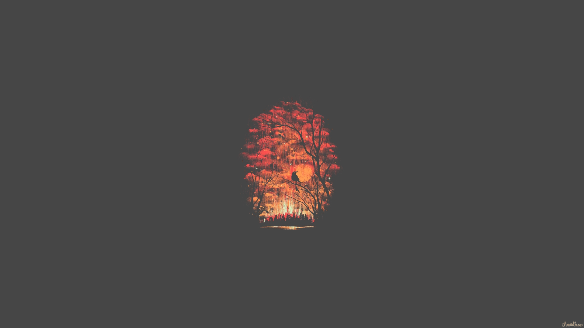 Dark Hd Minimal Forest Wallpapers