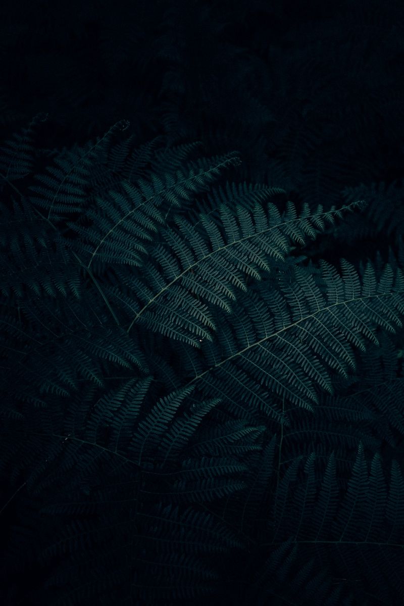 Dark Iphone 4S Wallpapers