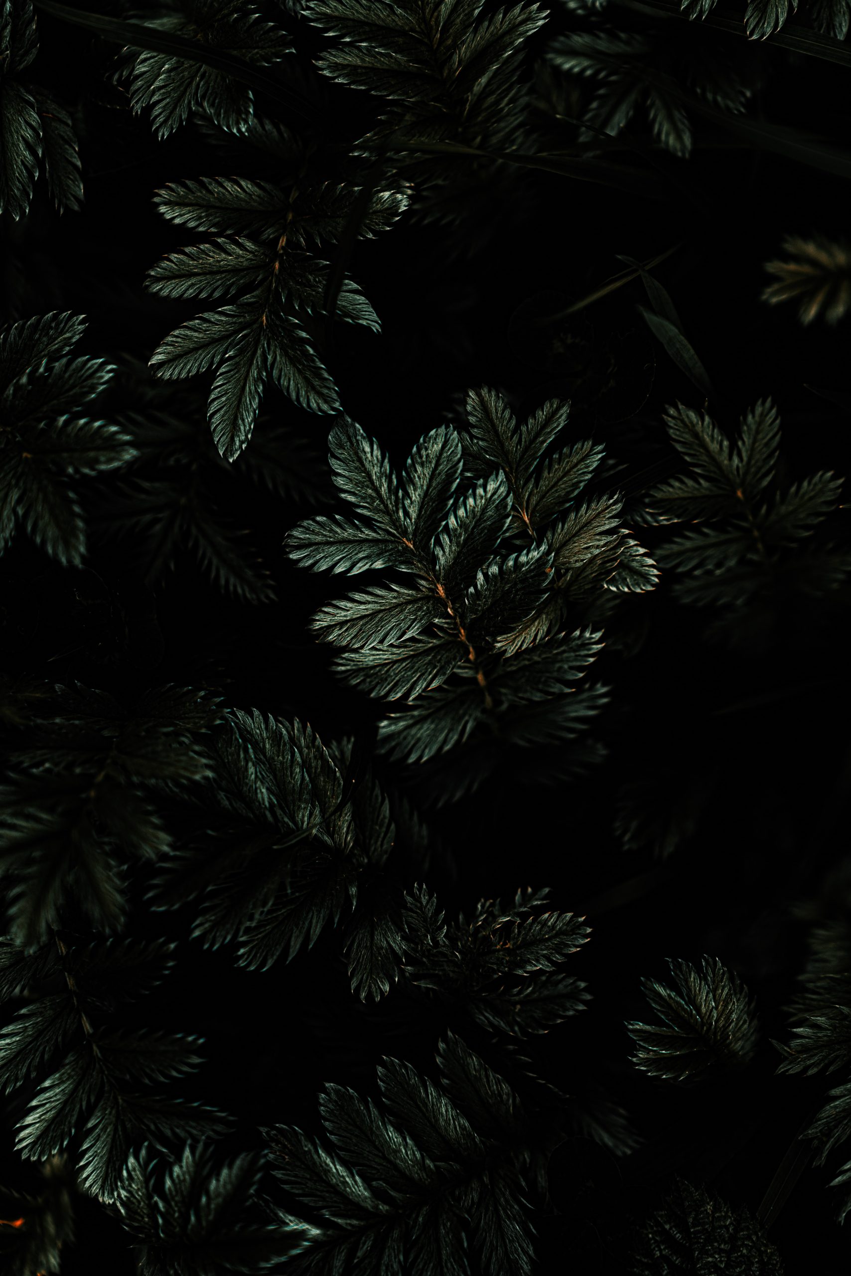 Dark Iphone Wallpapers