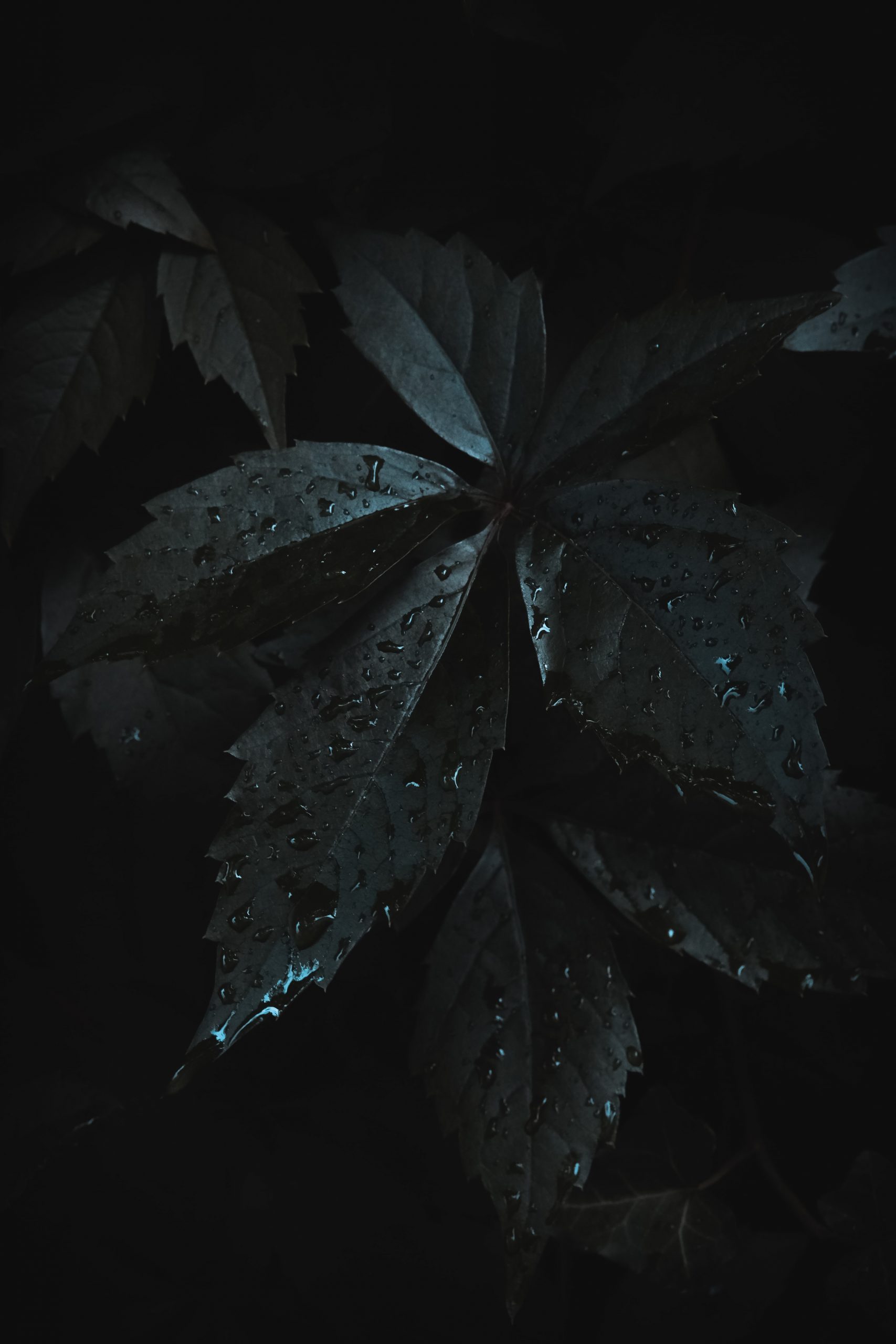 Dark Moody Wallpapers