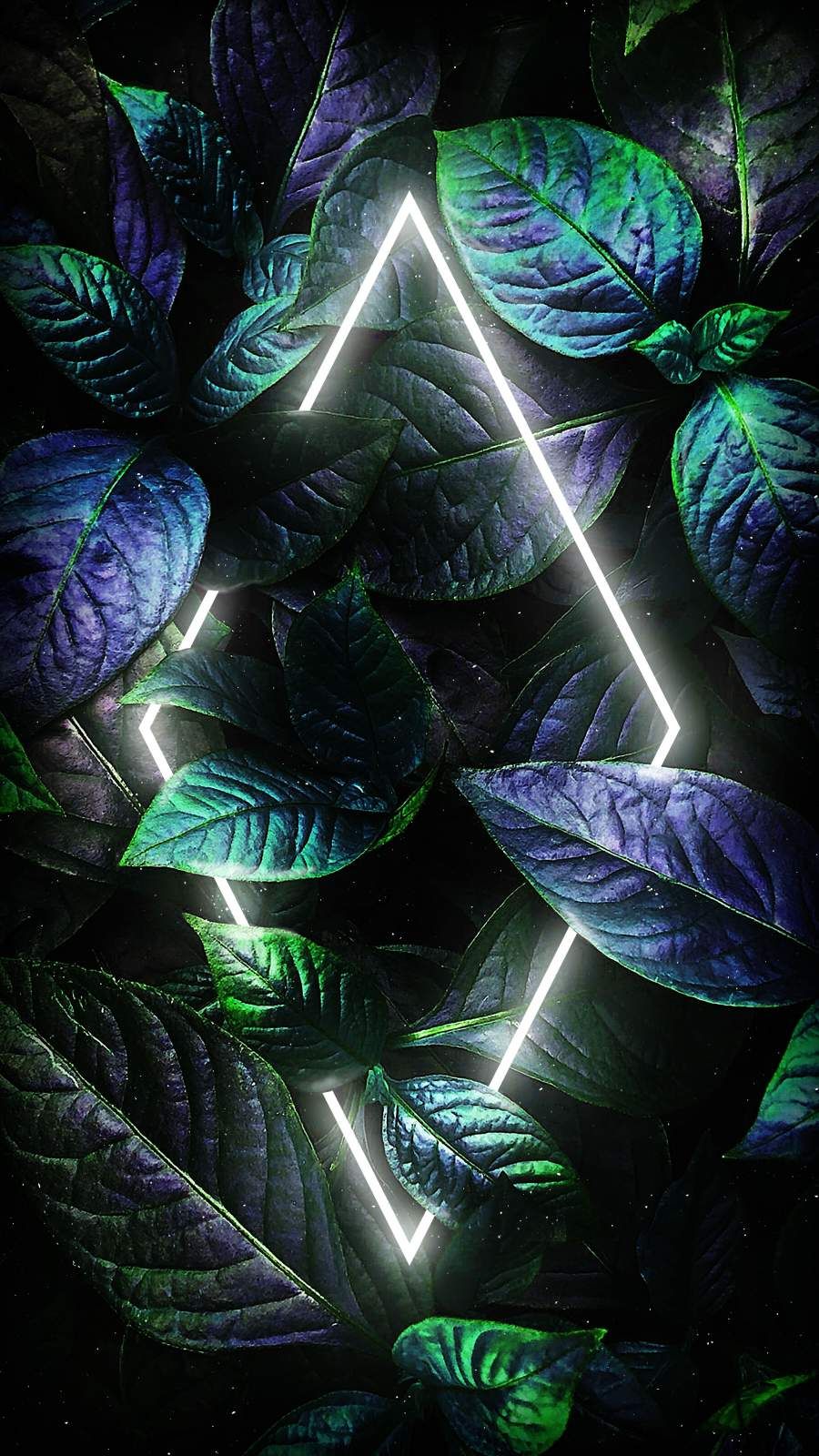 Dark Nature Iphone Wallpapers