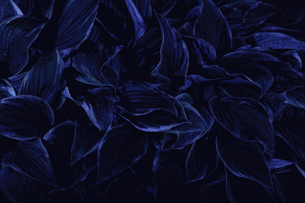 Dark Navy Blue Wallpapers