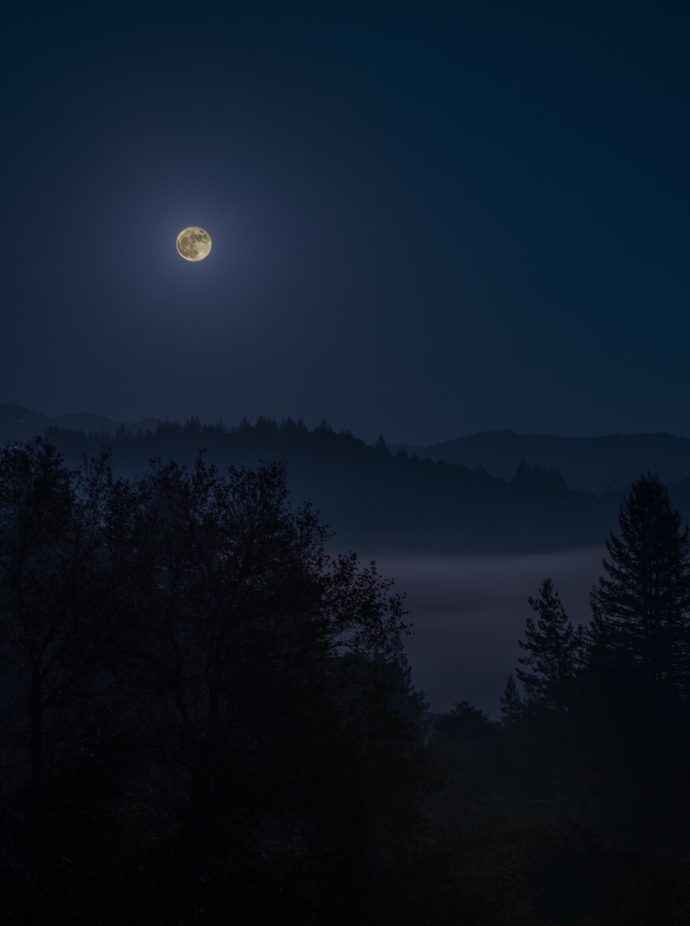 Dark Night Landscape
 Wallpapers