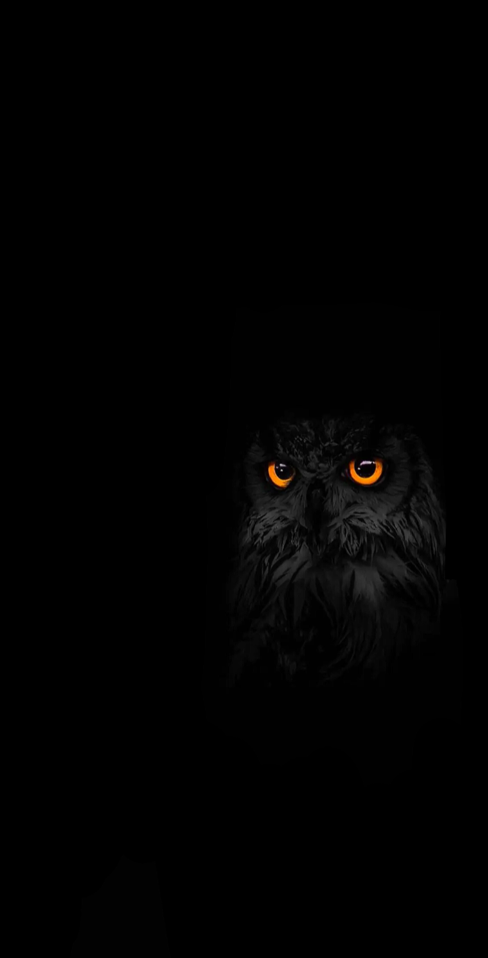 Dark Owl Wallpapers