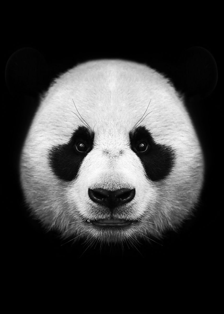 Dark Panda Wallpapers