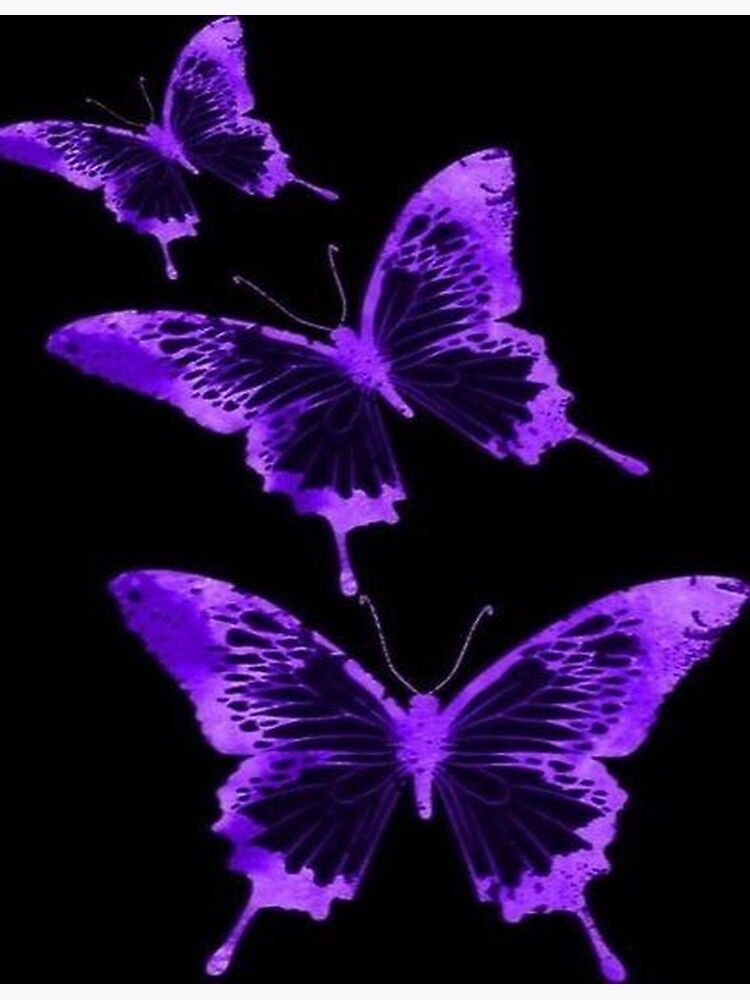 Dark Purple Butterfly Wallpapers