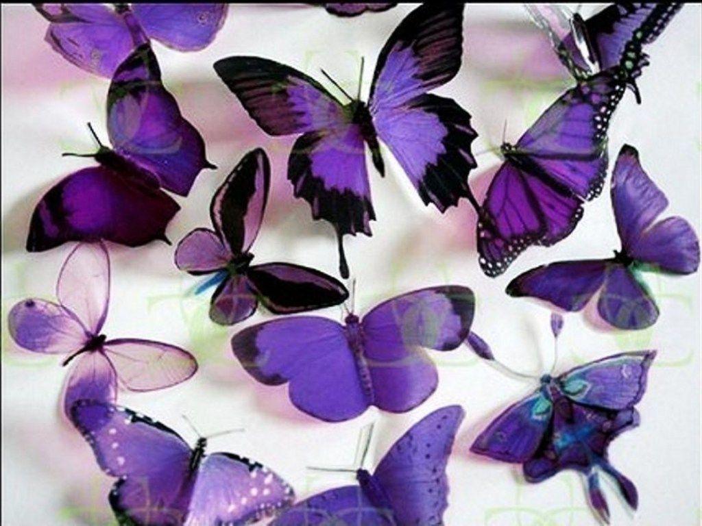 Dark Purple Butterfly Wallpapers